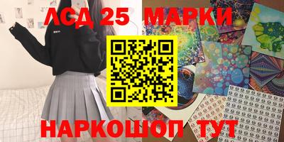 СК Моздок