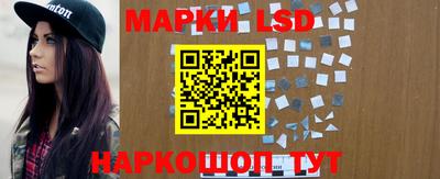 СК Моздок