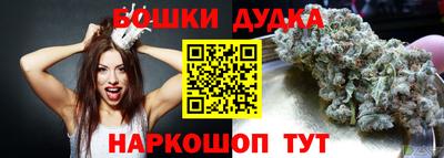 СК Моздок