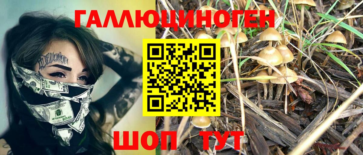 Псилоцибиновые грибы MAGIC MUSHROOMS Великий Новгород